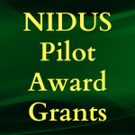 NIDUS Pilot Award Grants