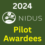 2024 Pilot Awardees